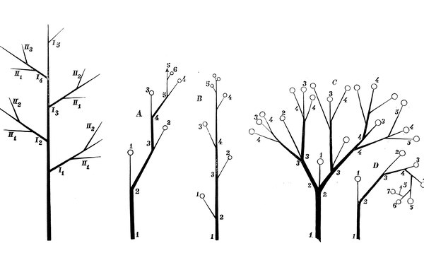 Cómo crear un diagrama de árbol en Word