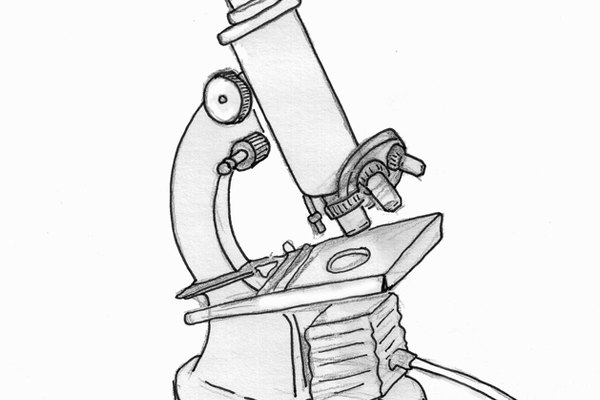 C Mo Dibujar Un Microscopio Geniolandia