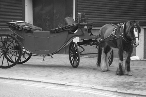 horse & carriage image by Peter Helin from Fotolia.com ...