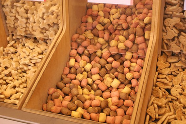 Close up of dogfood and rewards. image by Saskia Massink from Fotolia.com ...