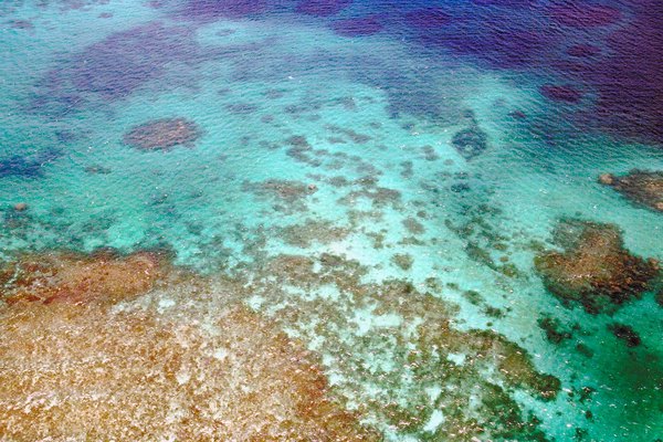 Jupiterimages/Photos.com/Getty Images Aerial view of Great Barrier Reef, Queensland, Australia