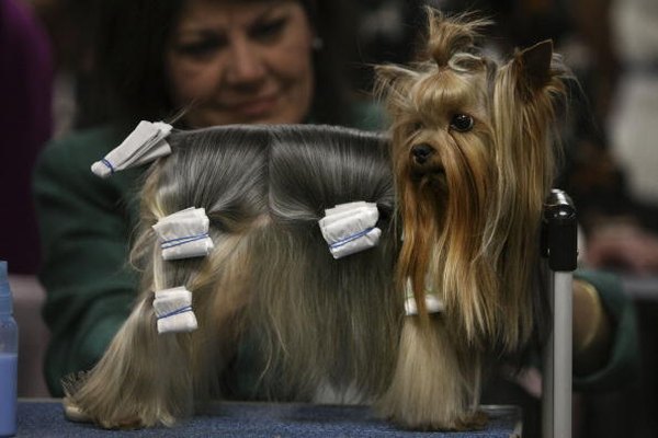 Chris McGrath/Getty Images News/Getty Images ...