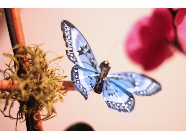 Add a decorative butterfly