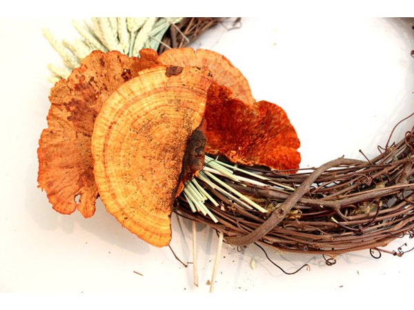 Attach sponge mushrooms