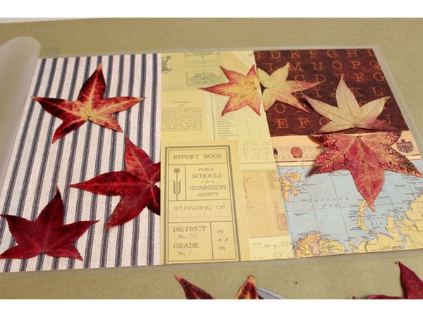 Arrange leaves on the paper.