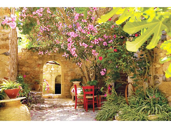 Most herbs are water-sparing and create fragrance and texture in a Mediterrarnean garden.