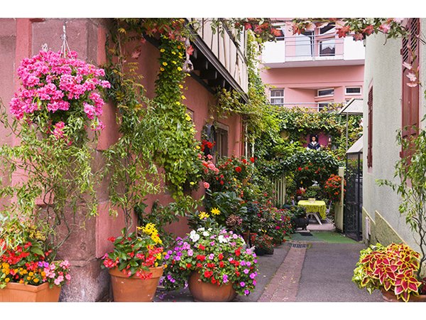 Water-wise herbs are good choices for container gardens.