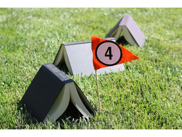 Book maze