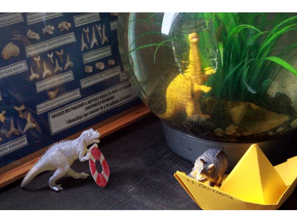 Life Aquatic