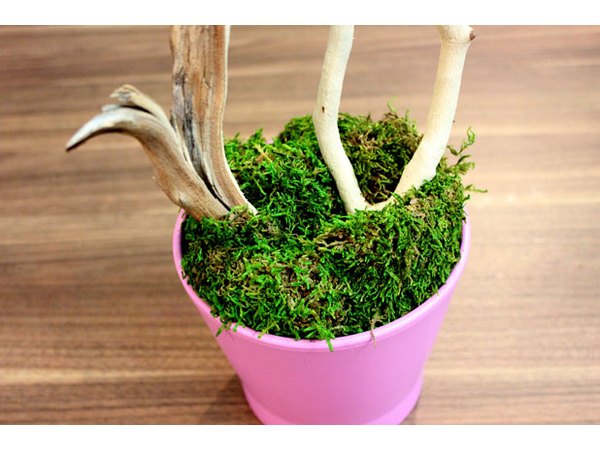Cover floral foam with moss