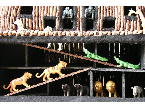 Animals can travel between decks.