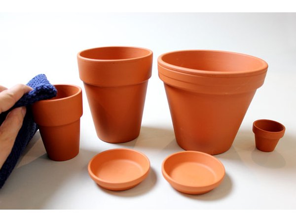 Wipe the clay pots with a damp cloth