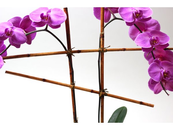 Create bamboo scaffolding