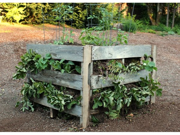 Now all that's left to do is watch your plants thrive in your homemade wood pallet garden.
