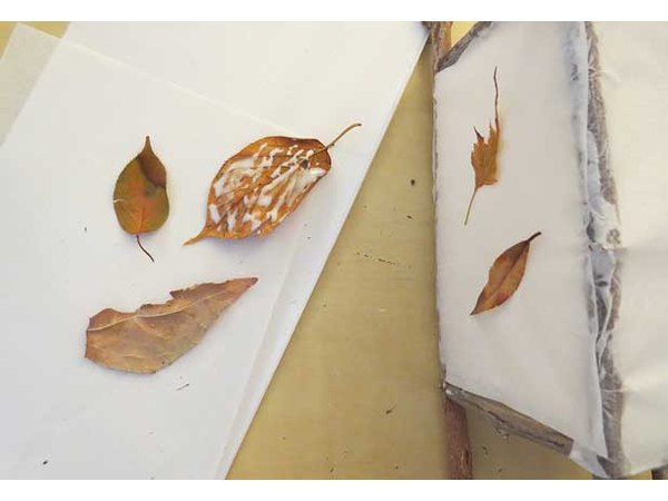 Glue leaves to tissue paper.