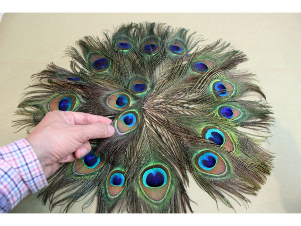 Cover the center with additional feathers.