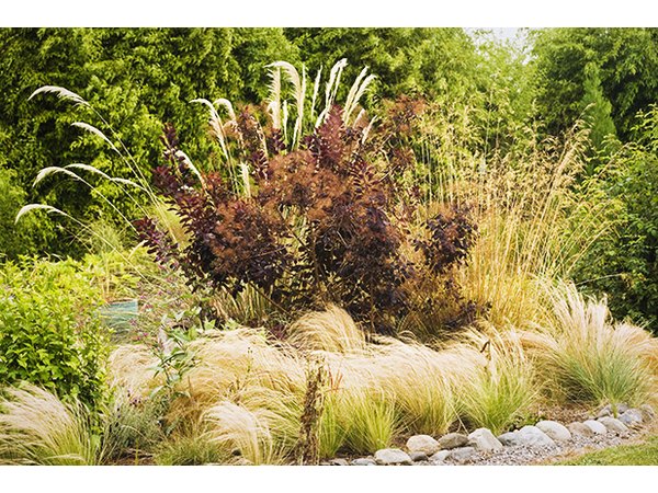 Xeriscaping also focuses on irrigation techniques and soil evaluation to create beautiful, water-thrifty gardens.