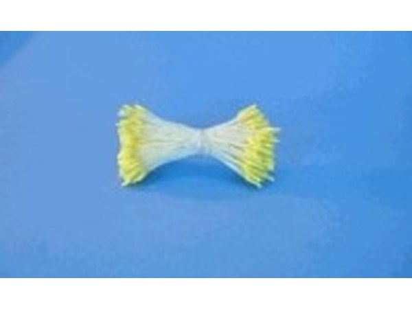Craft Stamens