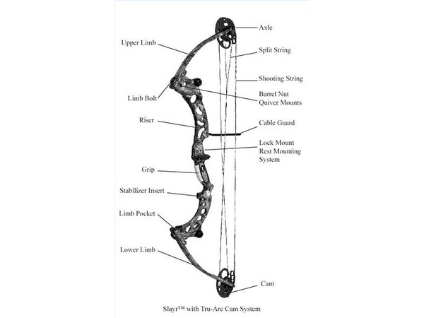 How Does a Compound Bow Work?