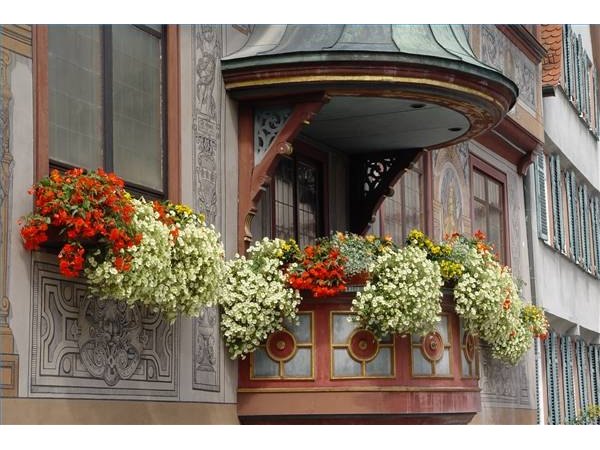 Balcony gardens can pack a lot of beauty in a very small space.
