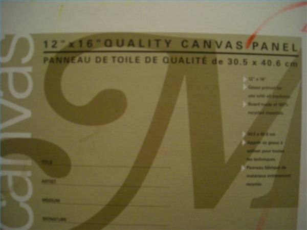 12 inch by 16 inch canvas