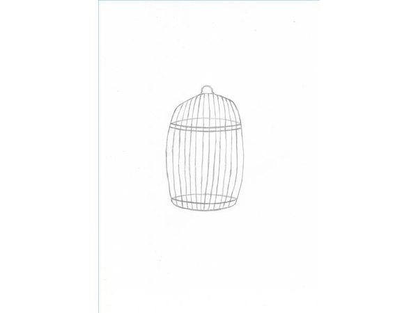Putting bars on your cage