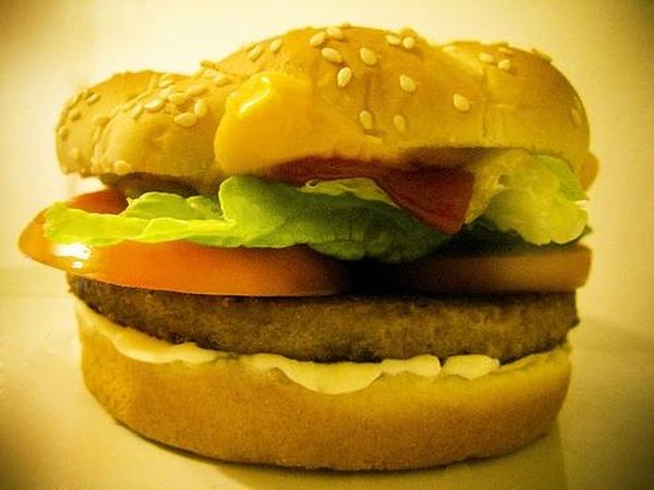 Soy Burger