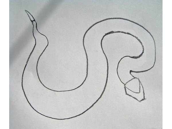 Draw the rattle and the head.