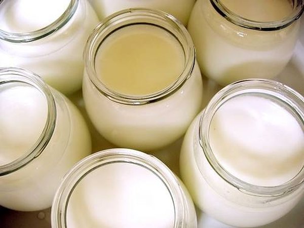 Plain Yogurt