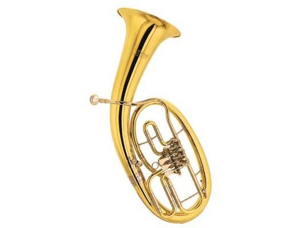 Tenor horns are still available from many specialty musical instrument providers.