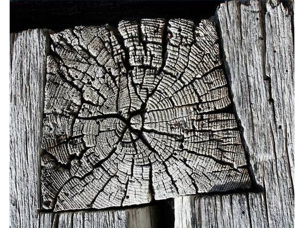 A rafter sits in a dovetail joint