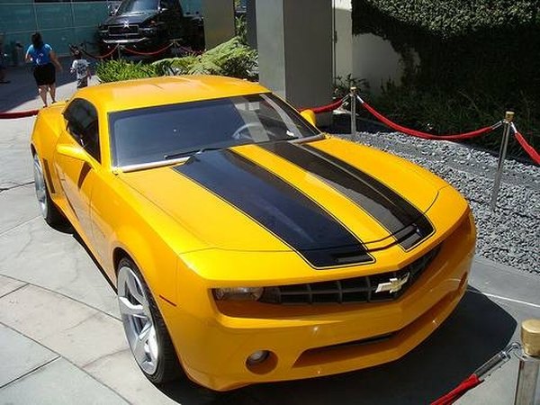 Bumblebee