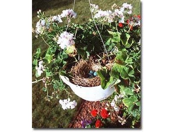 Plastic hanging basket