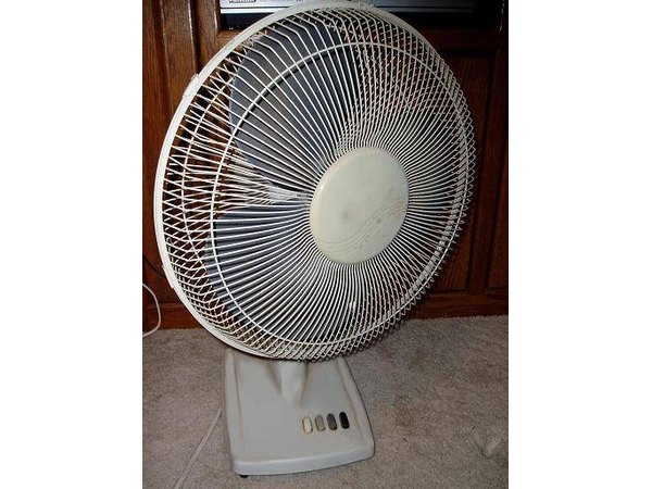 A standard oscillating fan