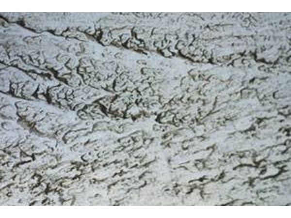 A rough white-washed cement