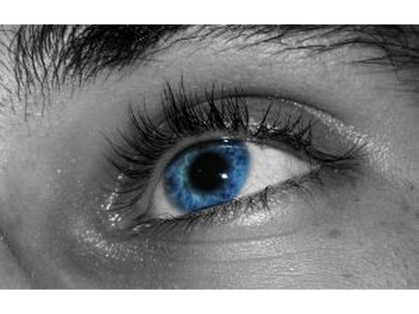 Eye color is an inherited physical trait.
