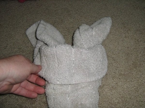 Shaping the trunk and ears.