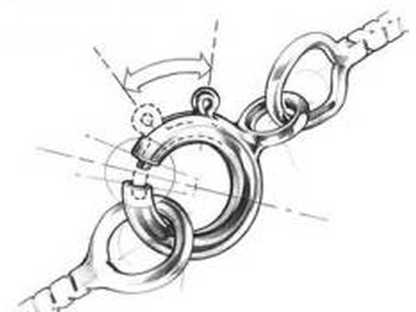 Spring ring clasp opens to secure a loop that holds the chain together.