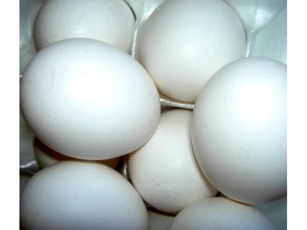 Eggs