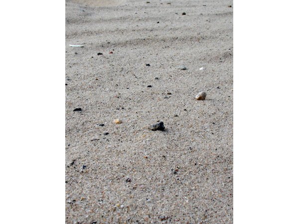 Sand and gravel mix on floodplains.