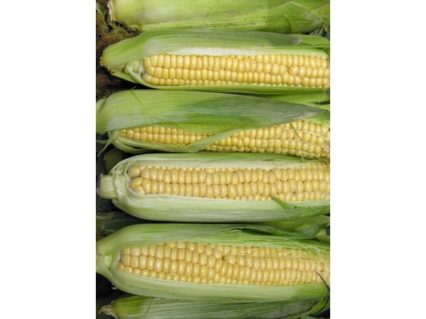 Sweet corn is a favorite warm-weather vegetable.