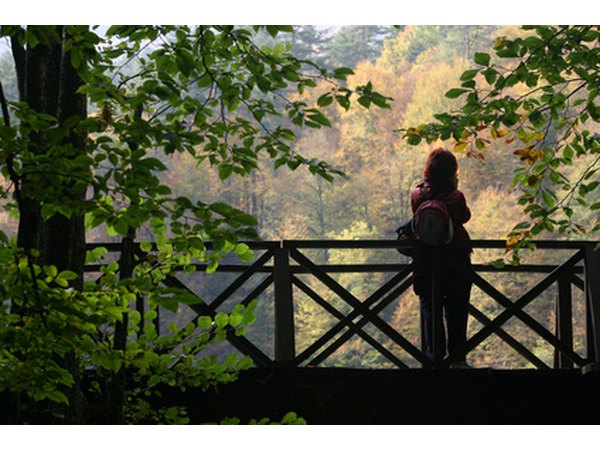 Natural light is a preferred light source for many photographers.