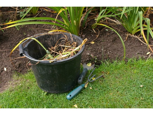 Weed before mulching