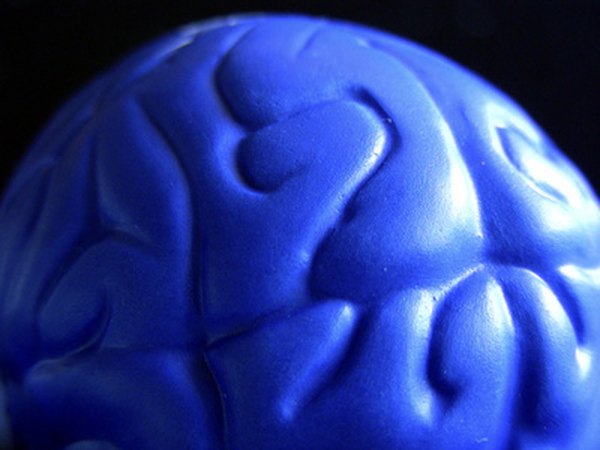 Exposure to extremely powerful EMF radiation can cause brain cancer.