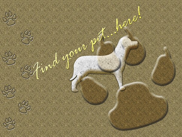 Find your pet here!