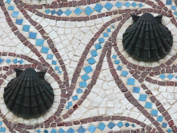Incorporate shells into mosaic art projects.
