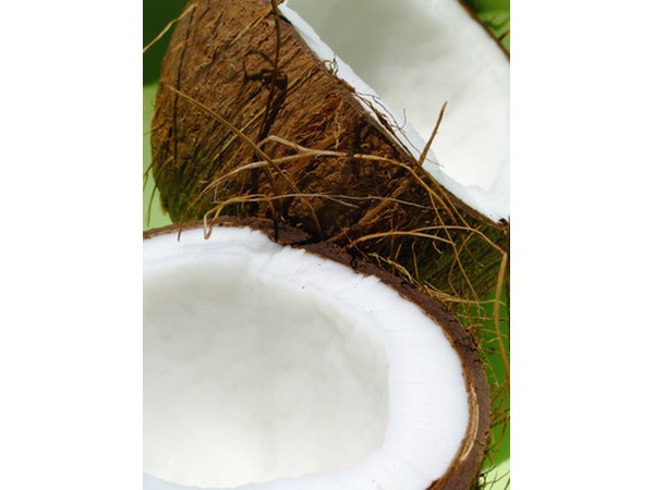 Coconut fat requires little digestion.