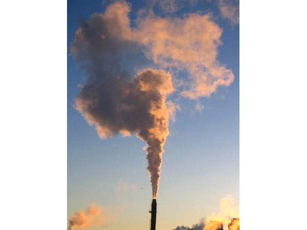Environmental pollutants may also trigger tics.