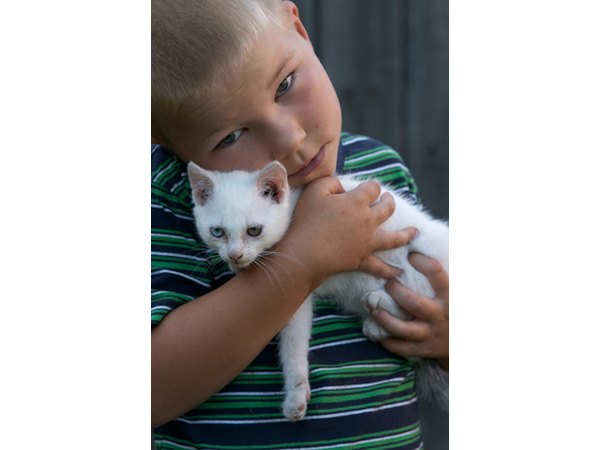 Young children and pets can accidentally swallow pesticides if they are within reach.