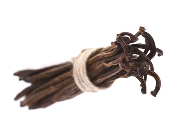 Cortez returned to Spain bearing vanilla beans.